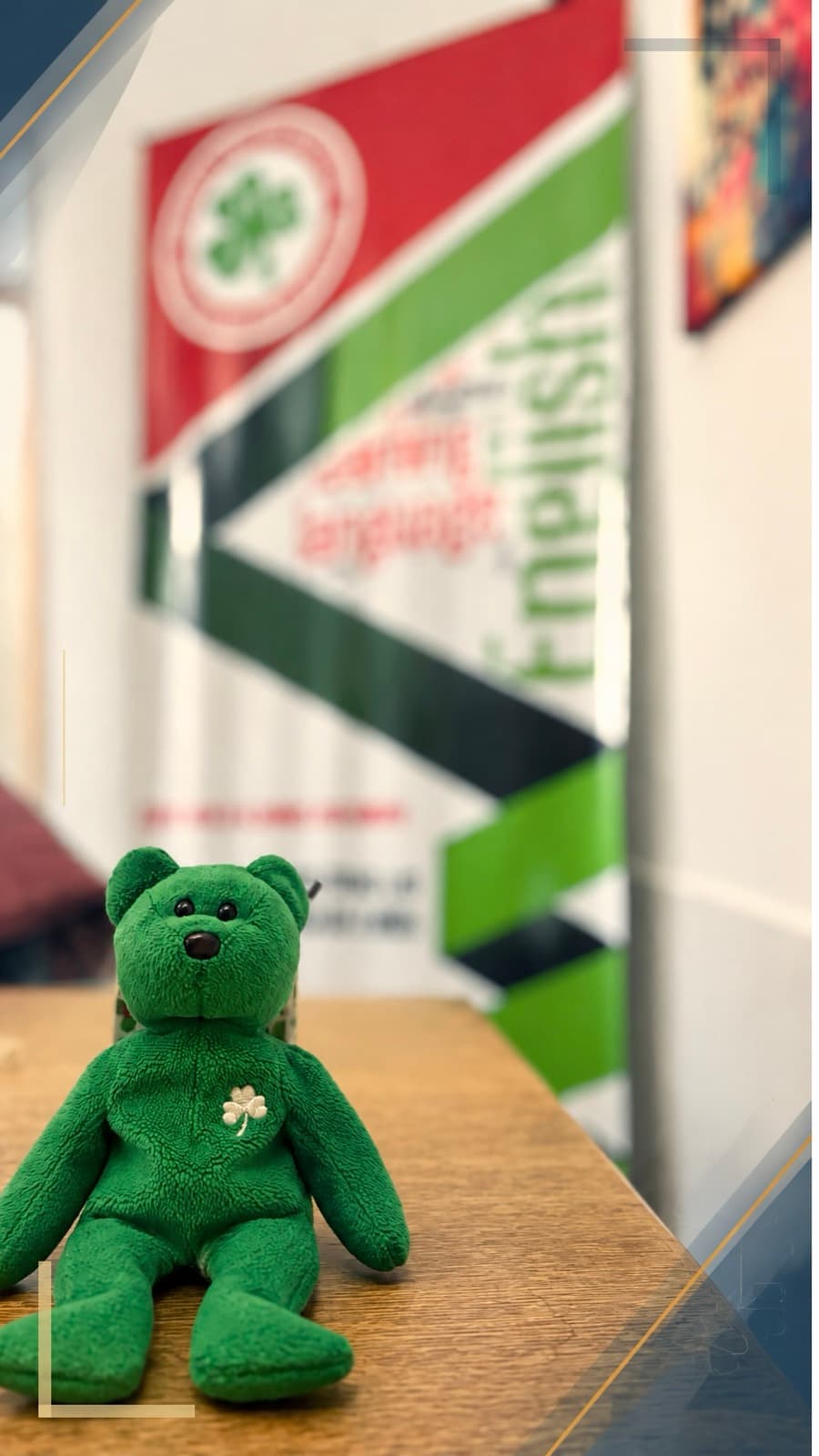 Osito de peluche verde con un trébol, sentado sobre una mesa del instituto.